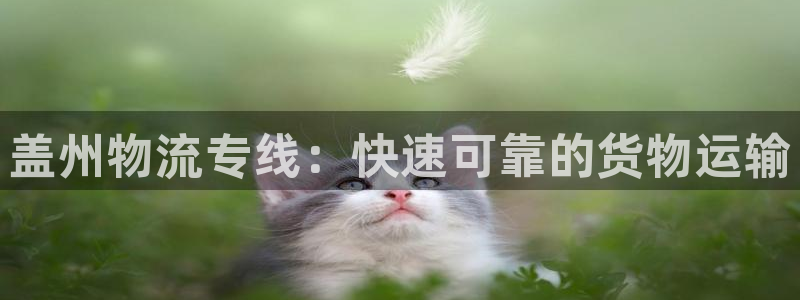 888集团官网欢迎您