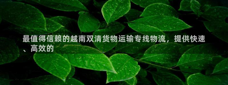 最值得信赖的越南双清货物运输专线物流，提供快速
、高效的(图1)